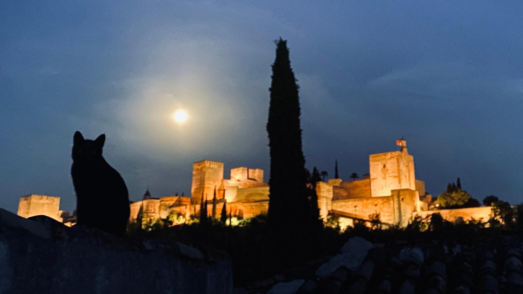 Casa Albaicin 3 Daire Granada Dış mekan fotoğraf